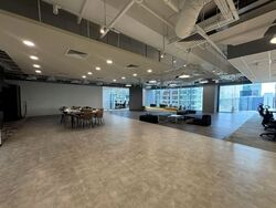 PLUS (D1), Office #560824801